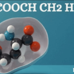 Exploring HCOOCH CH2 H2O: A Comprehensive Guide