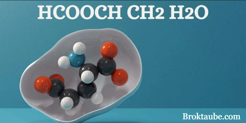 Exploring HCOOCH CH2 H2O: A Comprehensive Guide