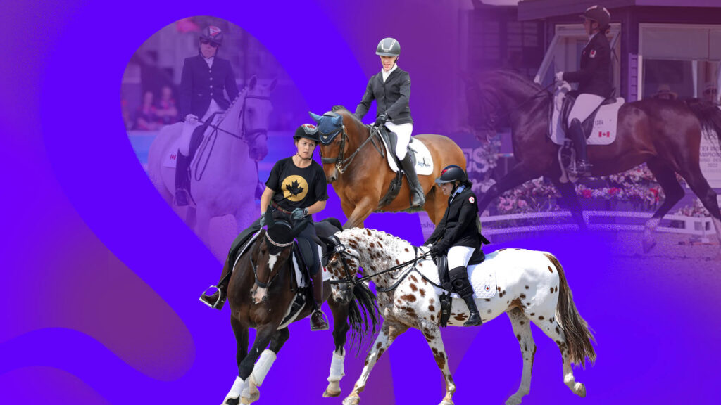 Equestrian Paralympics 2024