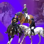 Equestrian Paralympics 2024
