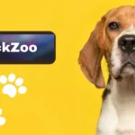The Magic of Tickzoo