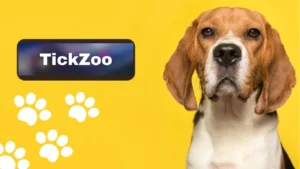 The Magic of Tickzoo: Your Ultimate Guide to Fun and Adventure