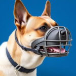 muzzle dog muzzle